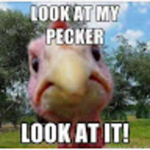 Meet your Posher, Dominick